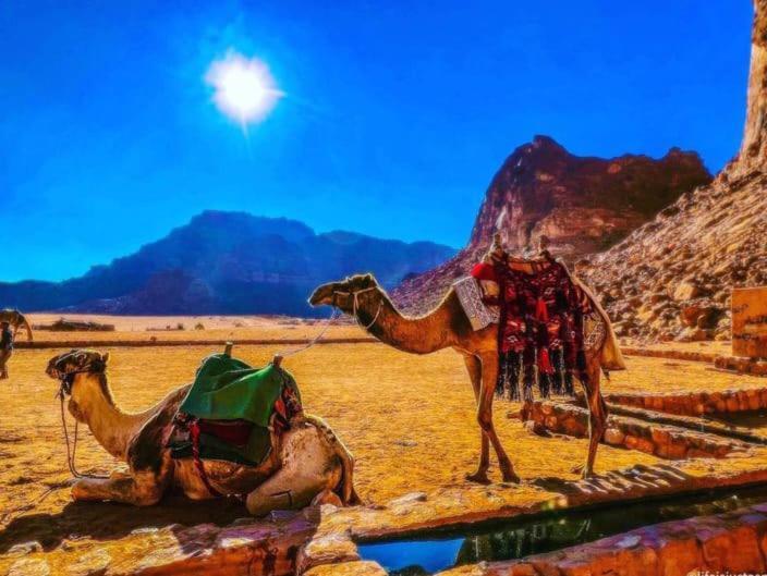 וואדי רם Moon City With Jeep Trips מראה חיצוני תמונה