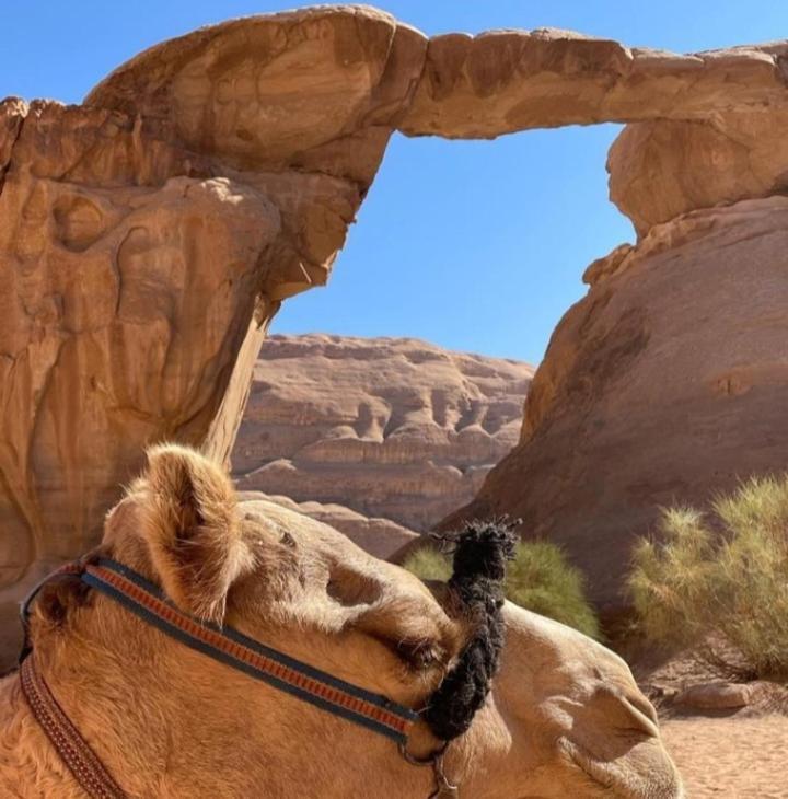 וואדי רם Moon City With Jeep Trips מראה חיצוני תמונה